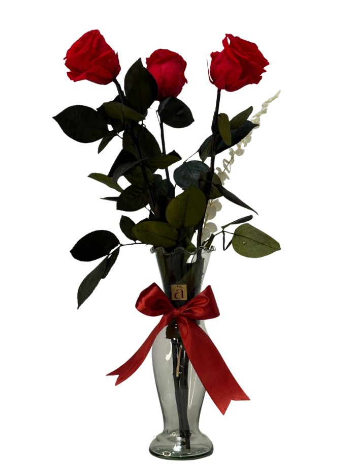 Florero preservado rosas