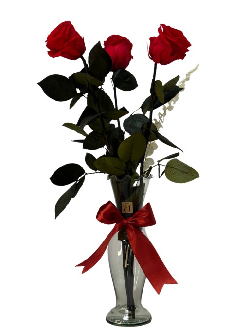 Florero preservado rosas
