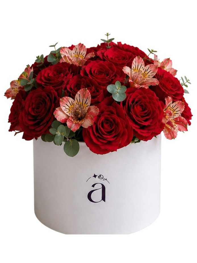Aniversario