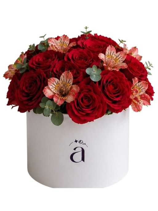Aniversario