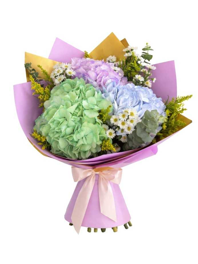 Amor de hortensias (3 hortensias)
