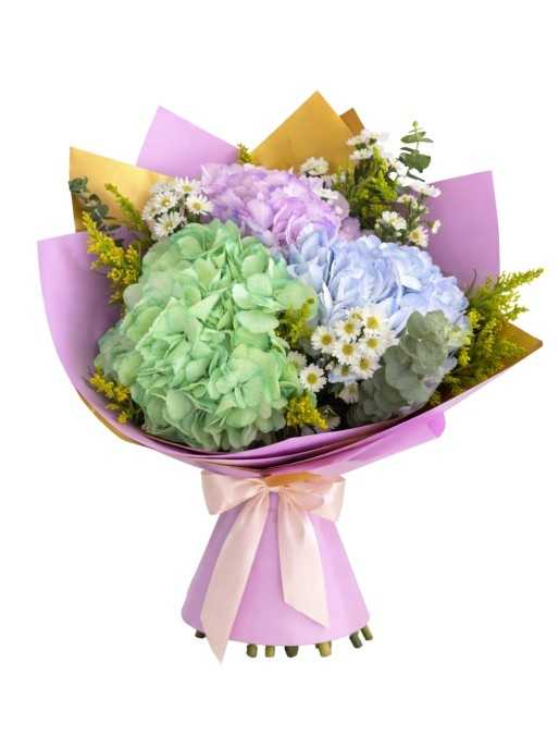Amor de hortensias (3 hortensias)