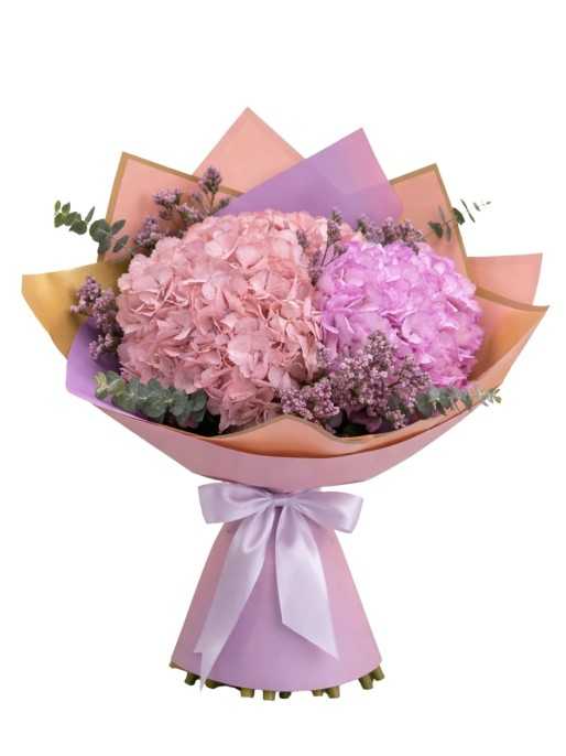 Amor de hortensias (4 hortensias)