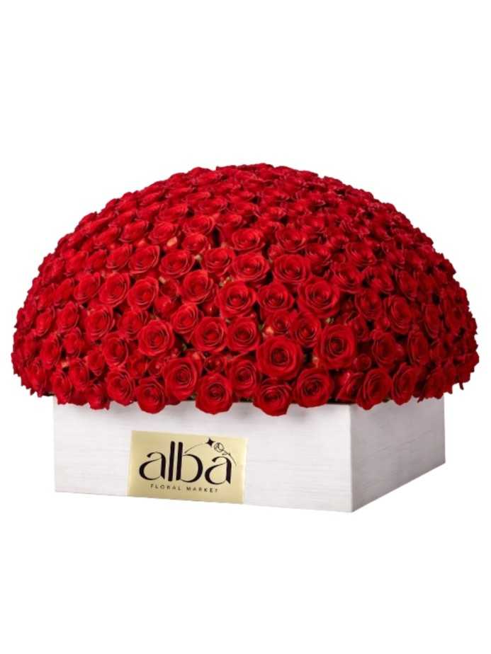Signature Red Rose