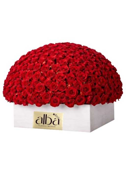 Signature Red Rose