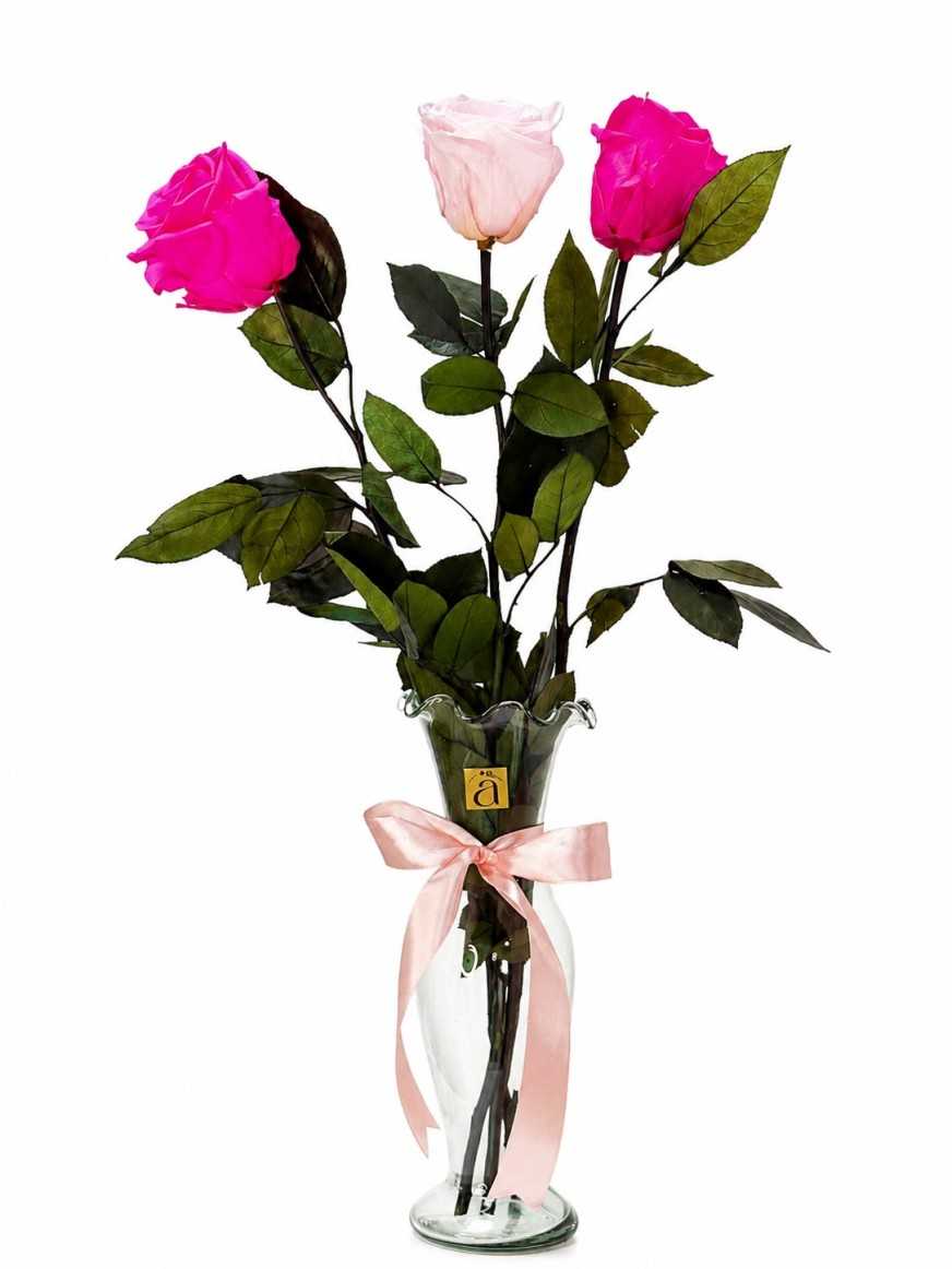 Florero preservado rosas fucsias