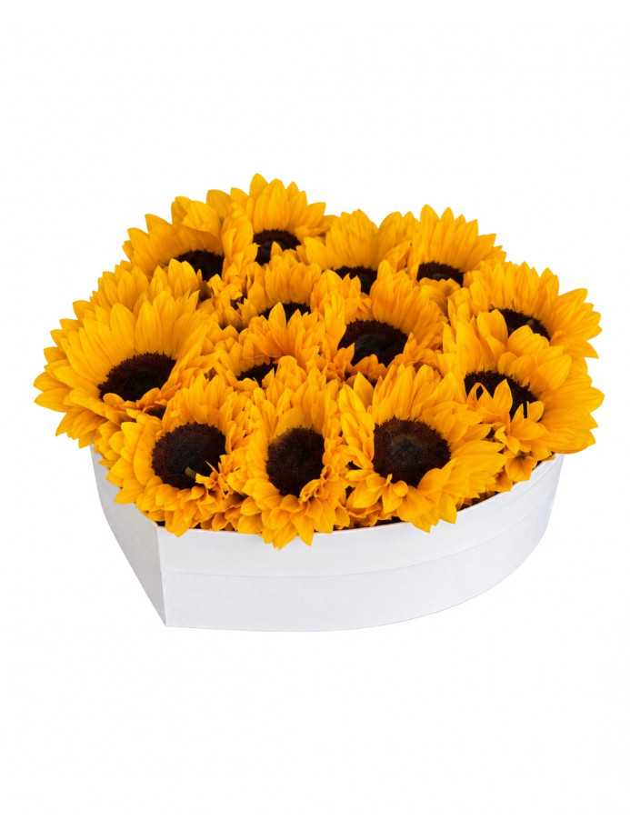 Sol de amor