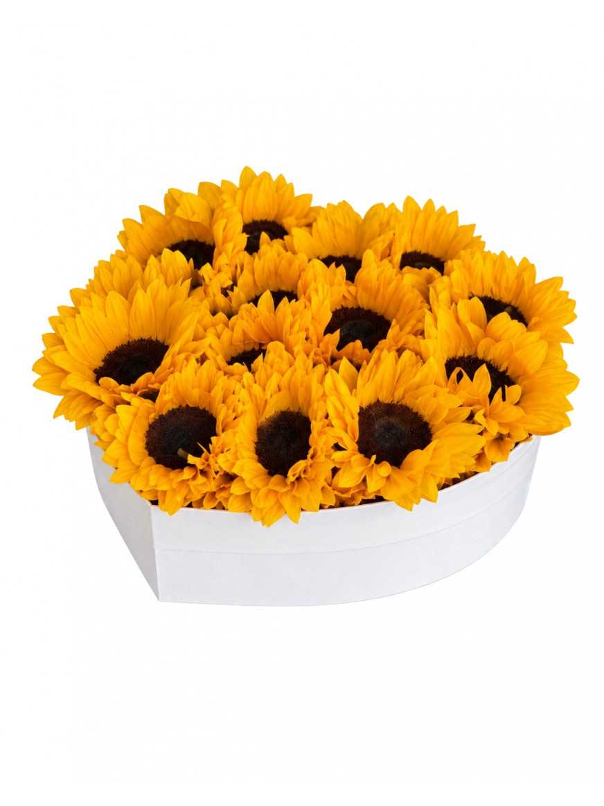 Sol de amor